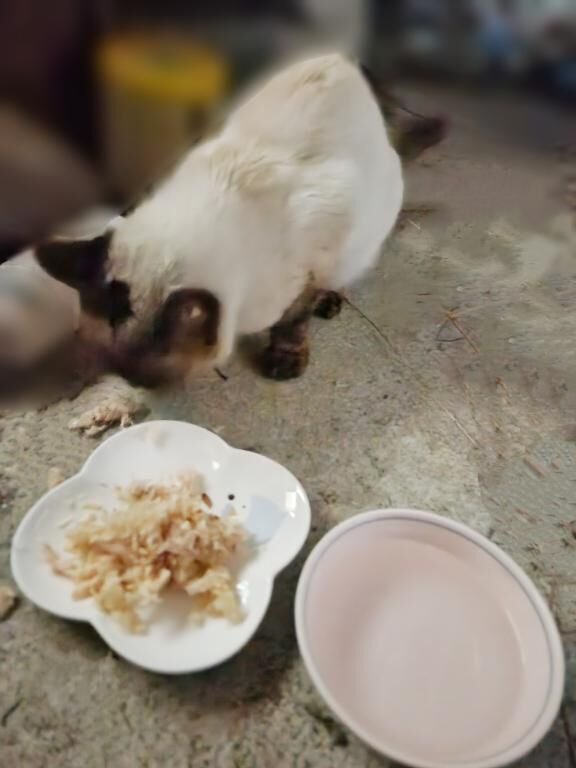 そういえば&#128049;