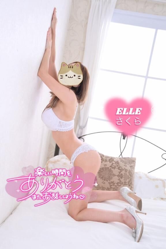 本日