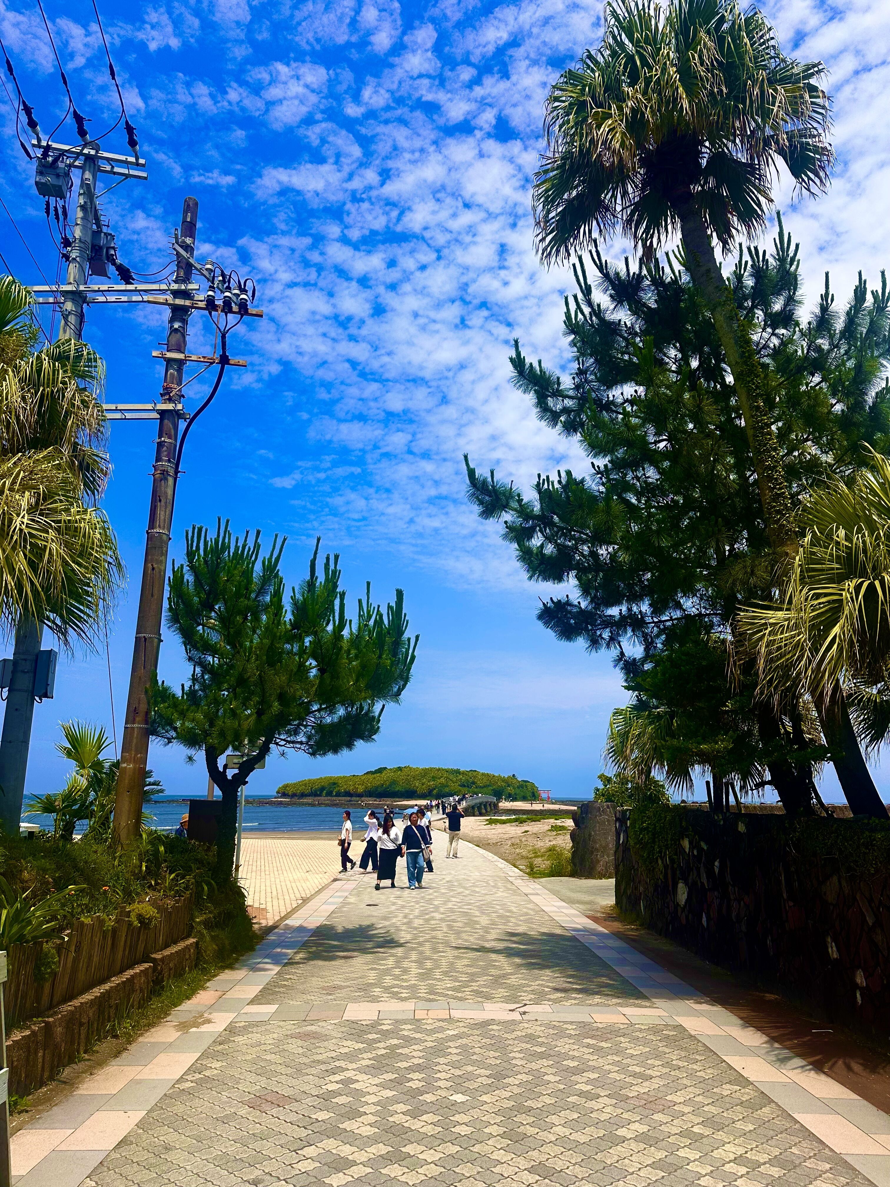 宮崎&#127796;