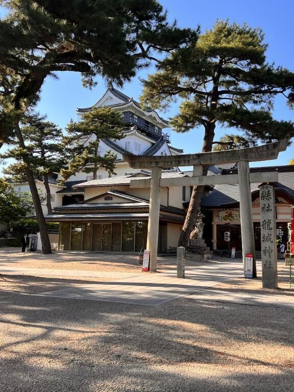 こんにちは