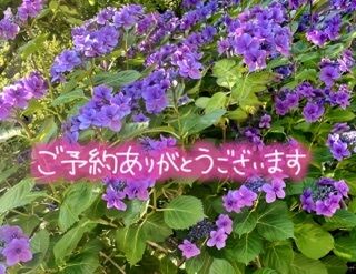 (o^^o)♪