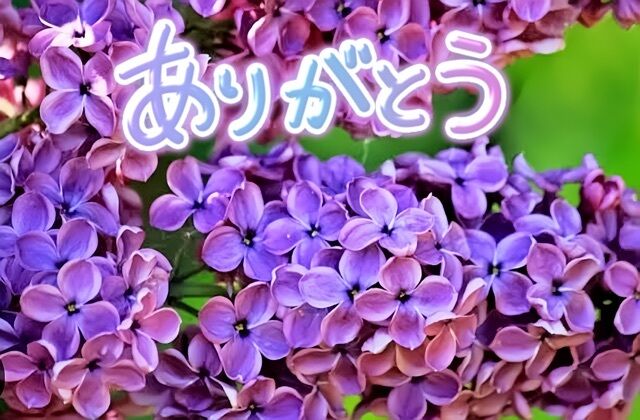 K様にお礼です♪