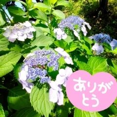 ありがとうございました
