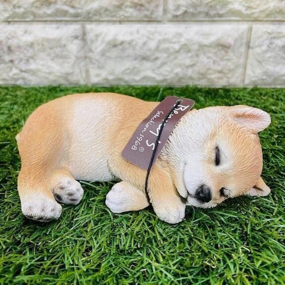 ありがとうです