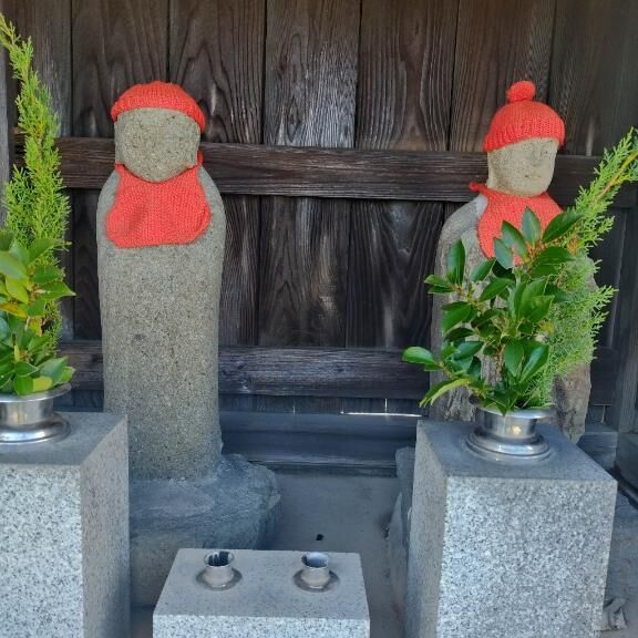 救ってくれてありがとう