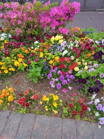 出勤です！今日もがんばります~