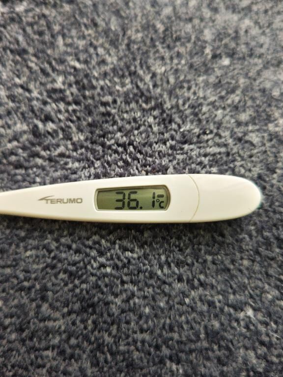 本日の体温