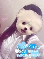 おはにょ〜(*ˊᵕˋ* )