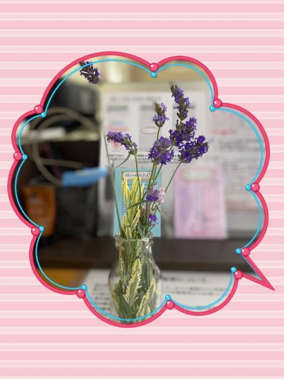 &#9825;またまた