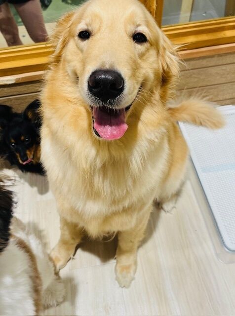 〜癒し〜