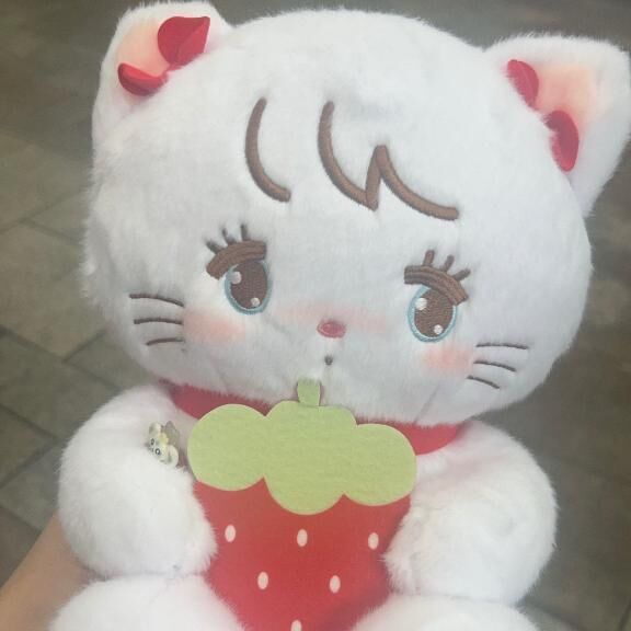 可愛いんだから
