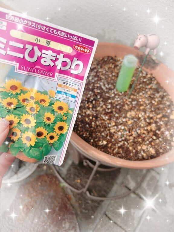 &#127803;