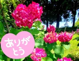 ありがとうございました