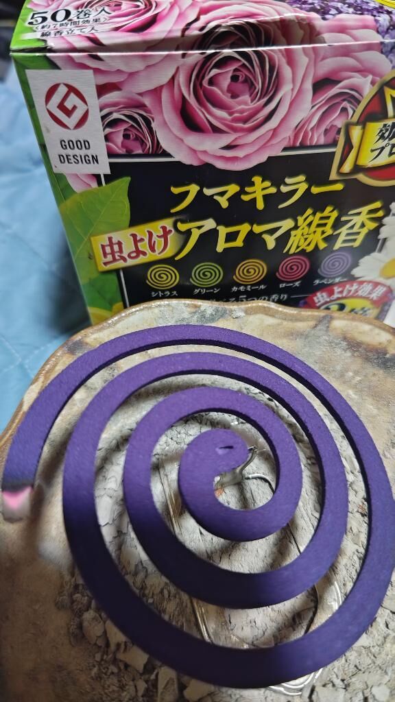 ぷ〜ん　　いやん
