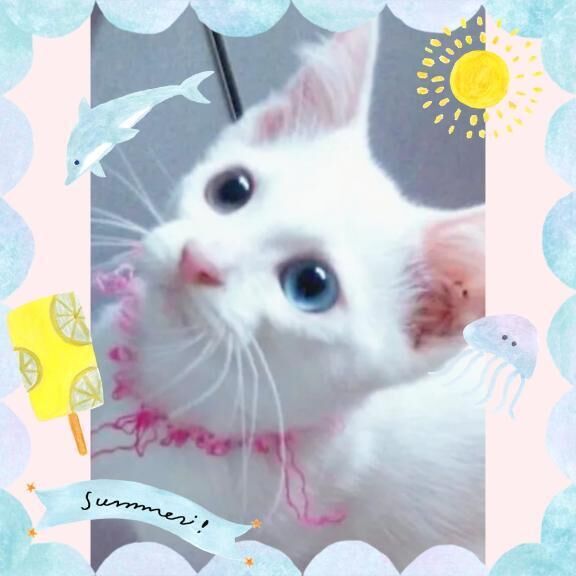 暫らく＼(^o^)／おやすみ日