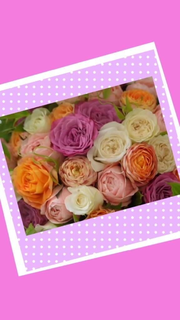 おはようございます♡