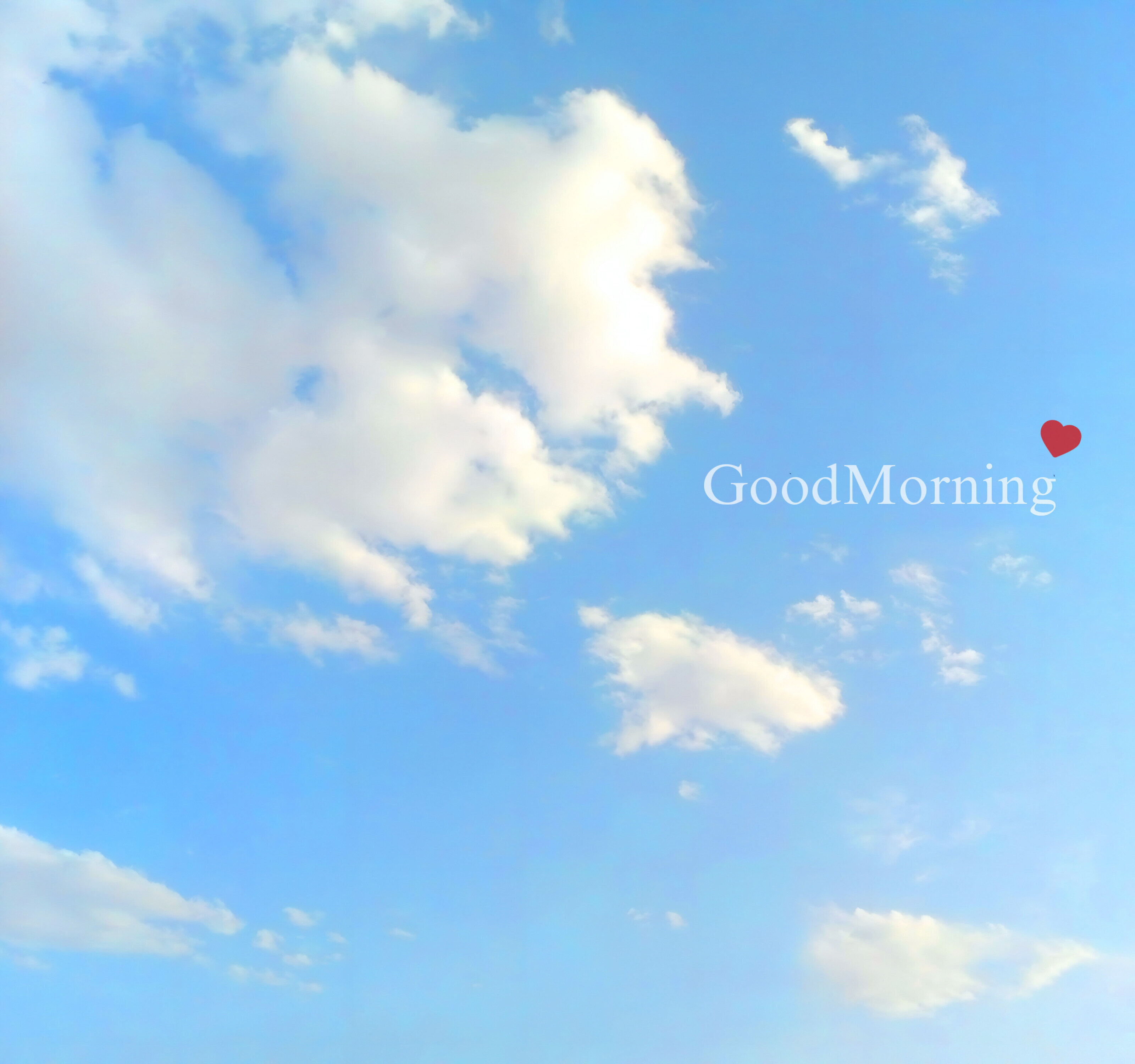 のんびり朝&#9728;&#65039;