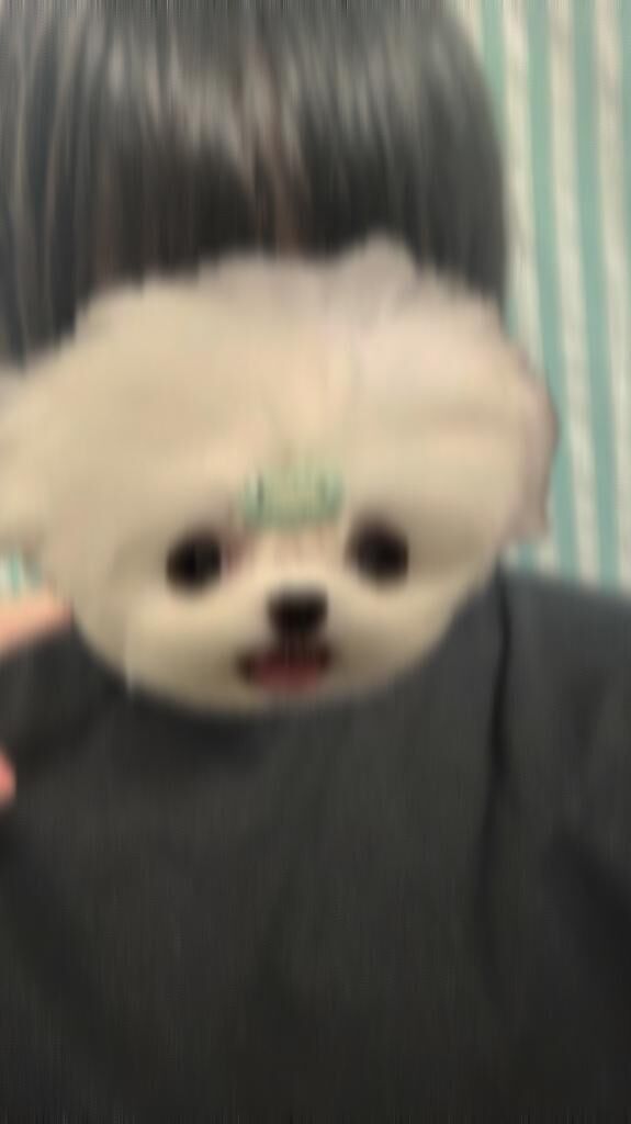 会いたいよ&#x301C;