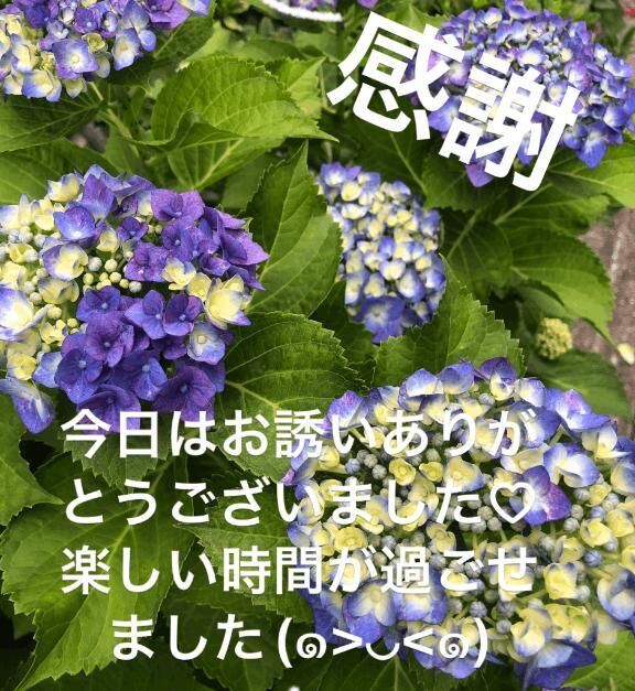 お礼です&#9825;