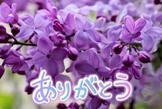 再会のK様にお礼です♪