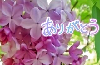 Y様にお礼です♪