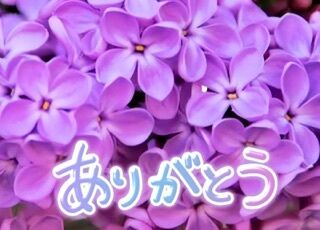 K様にお礼です♪