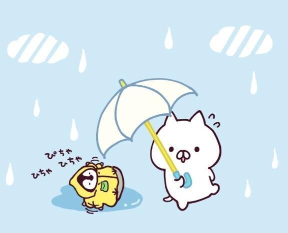 おやすみにゃさい♪