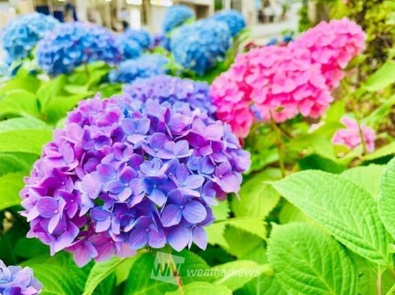おはようございます&#9825;