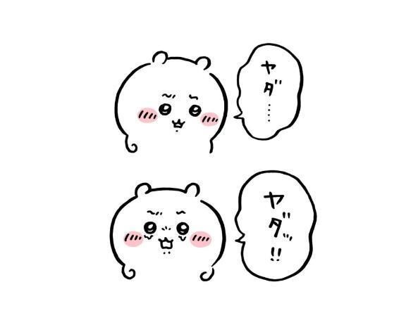お休みします
