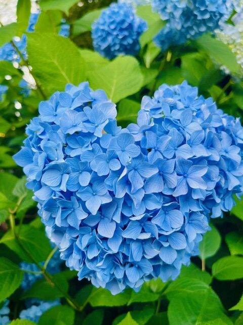 &#x301C;予定変更&#x301C;