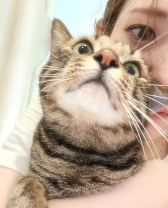 おとぼけ顔もよし&#128049;
