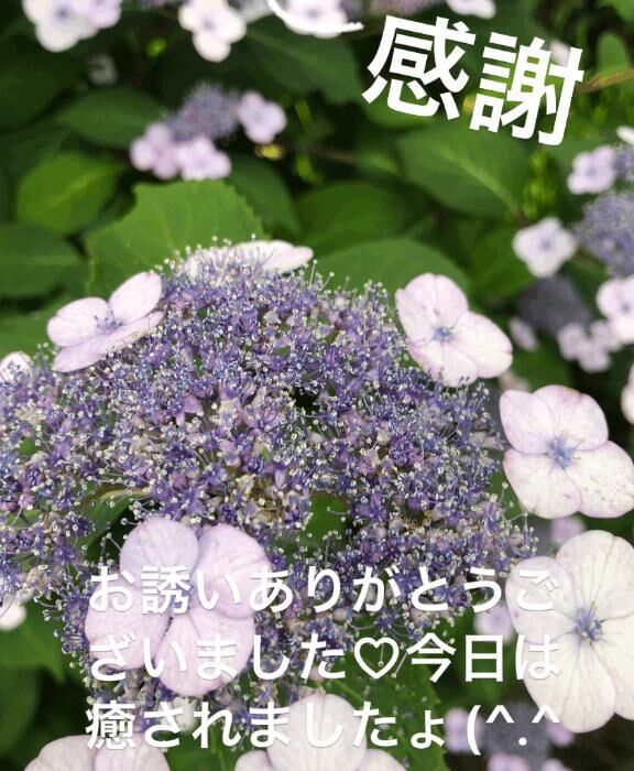 帰宅してます