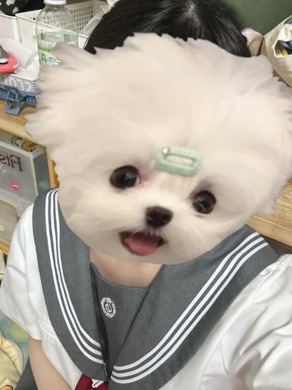 います&#9748;&#65039;