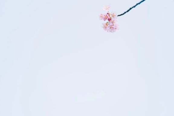 白い結晶みたいで