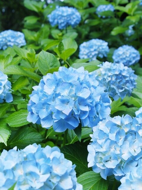 おはようございます