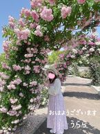 おはようございます