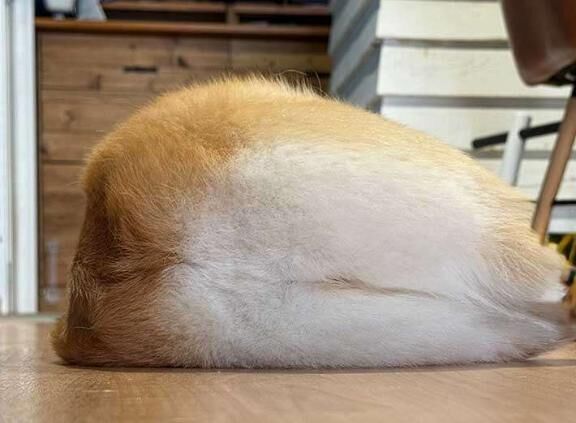 なんでかな？