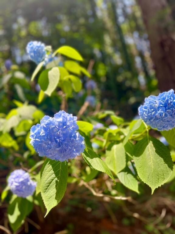 出勤です&#9825;