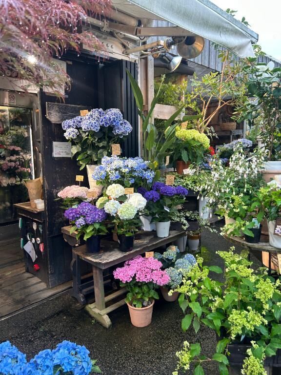お部屋到着(&#758;\' &#7509; \' &#758;)