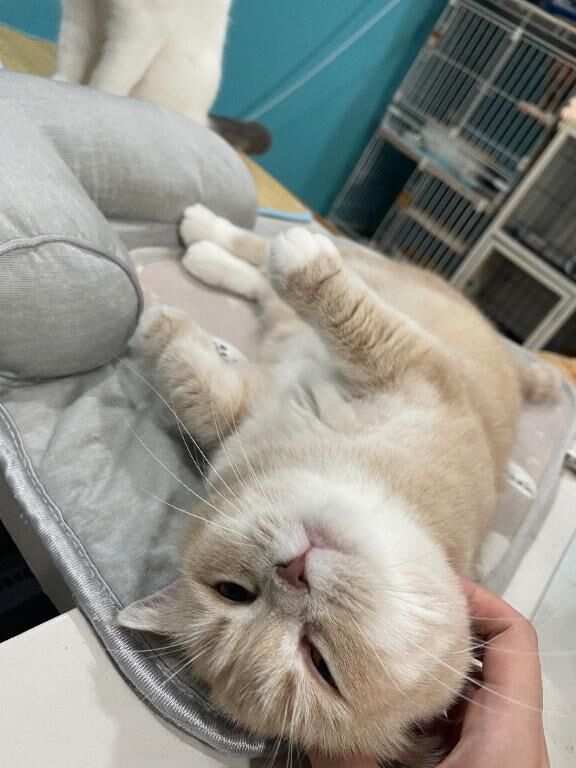 &#9825;&#9825;♀&#9825;&#9825;&#9825;♀&#9825;