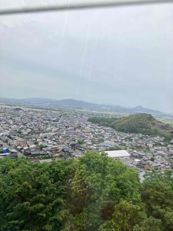 りなです