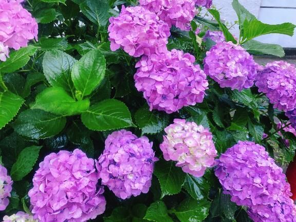 小さな幸せも一緒に…&#9825;