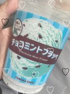 意見が分かれるやつ藍
