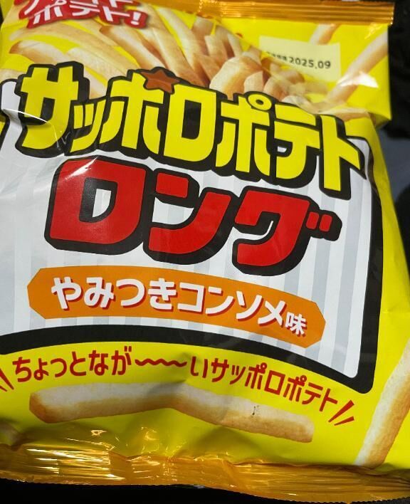 帰宅しました