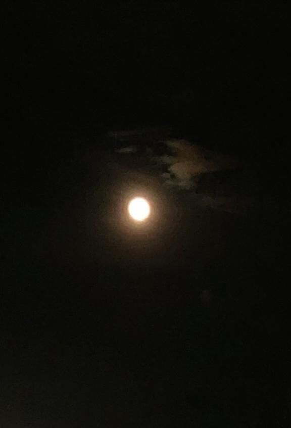 今夜は