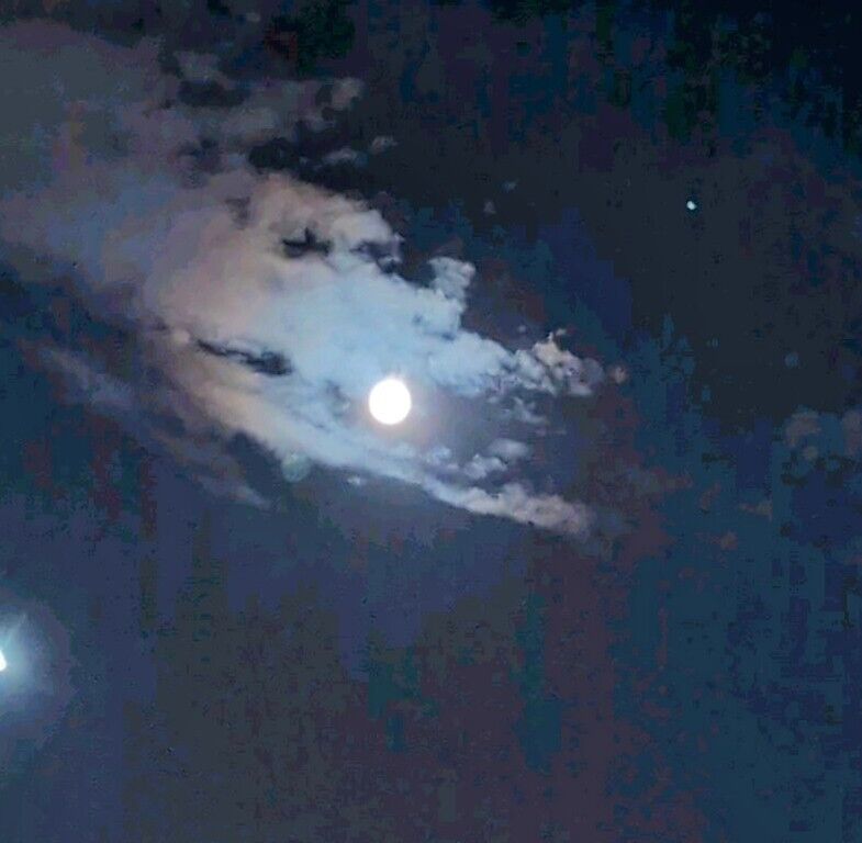 今日の月