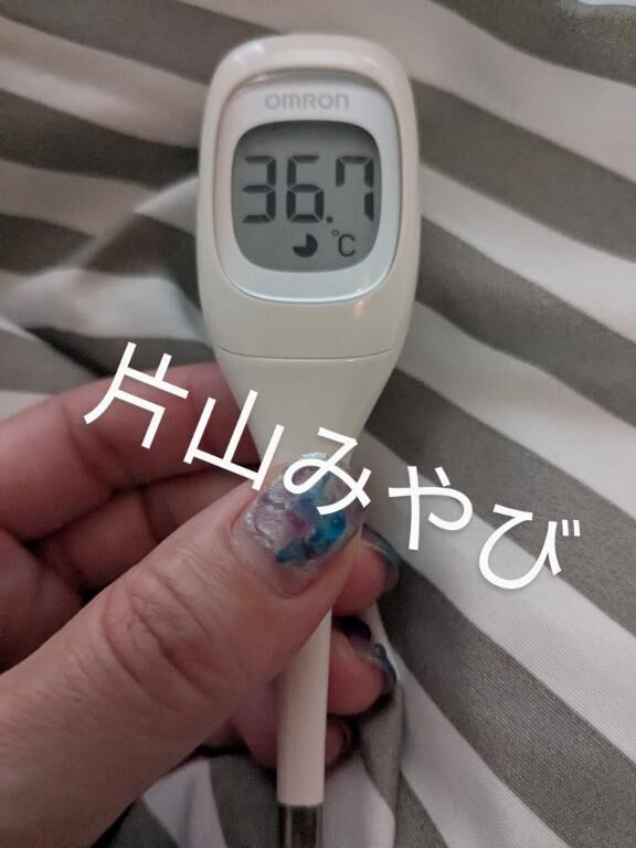 本日の体温(*´Д｀)
