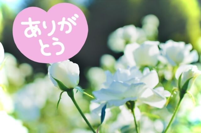 ありがとうございました
