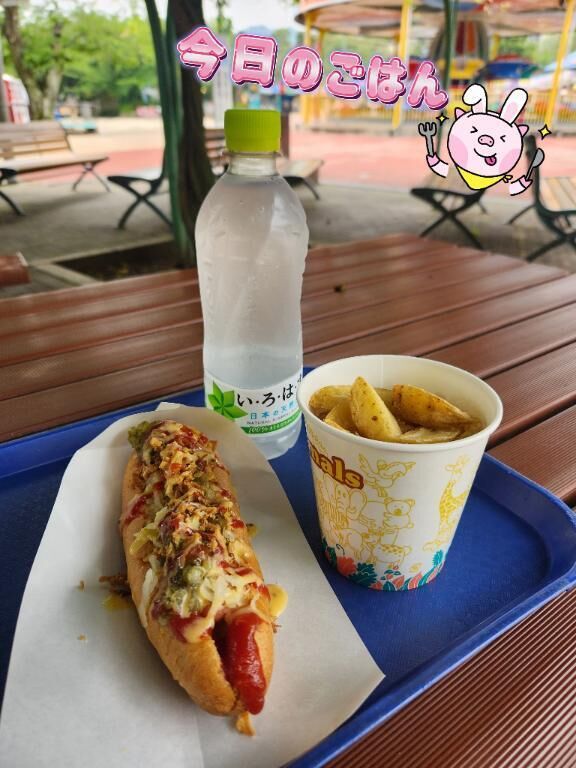 みんなでご飯&#128038;&#65039;