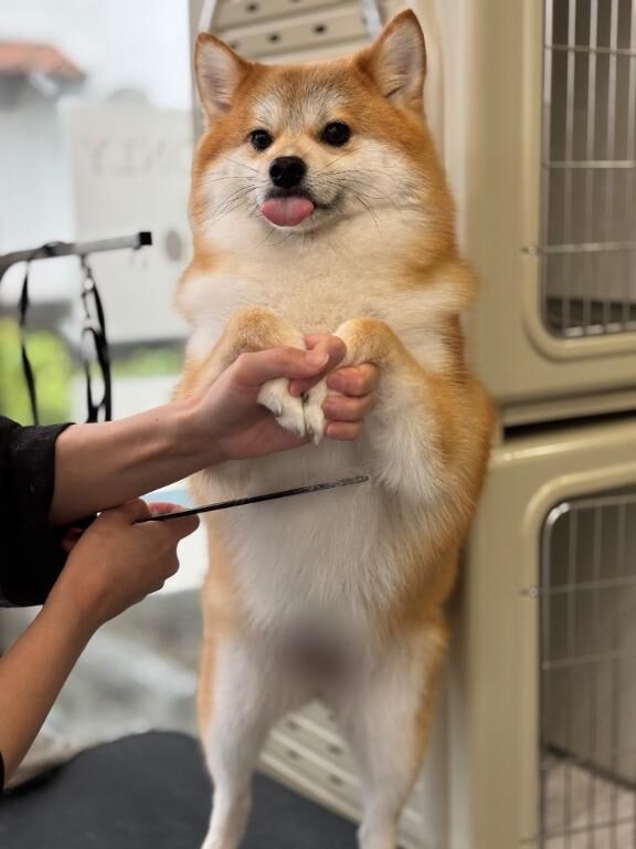 本日&#9825;